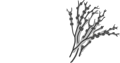 COASTFRAG logo black and white version